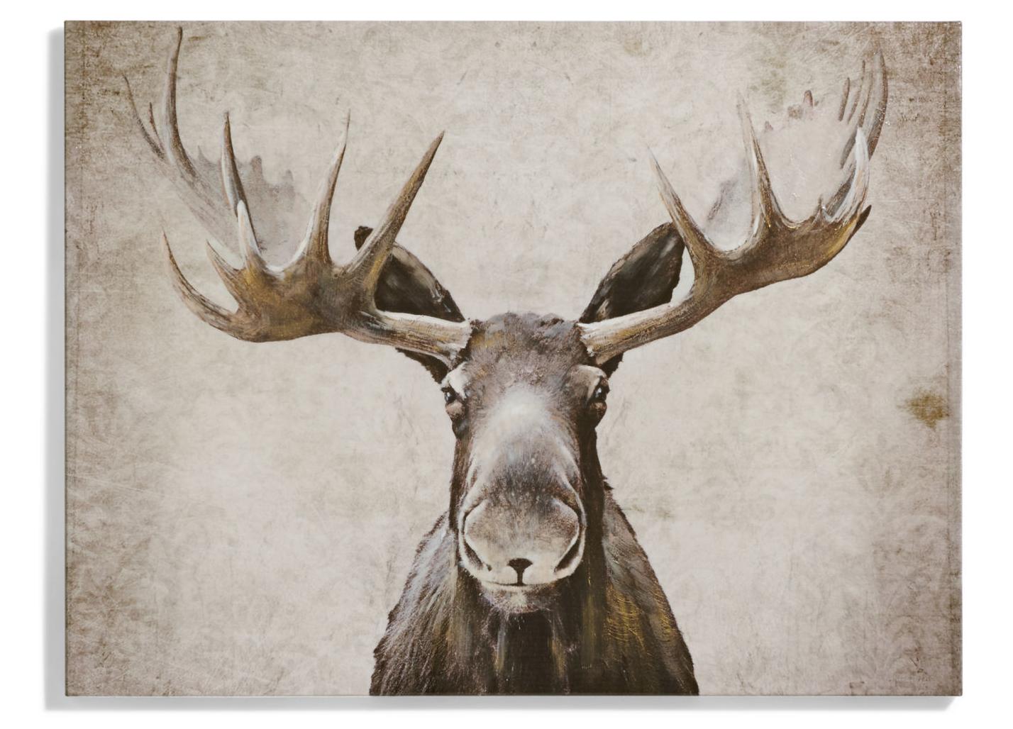 Grandin Road 161705_Maxwell_Moose_1.jpg